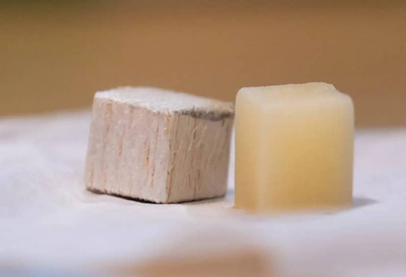 Prawdziwe drewno przyszłości. Inżynierowie opracowali coś wyjątkowego