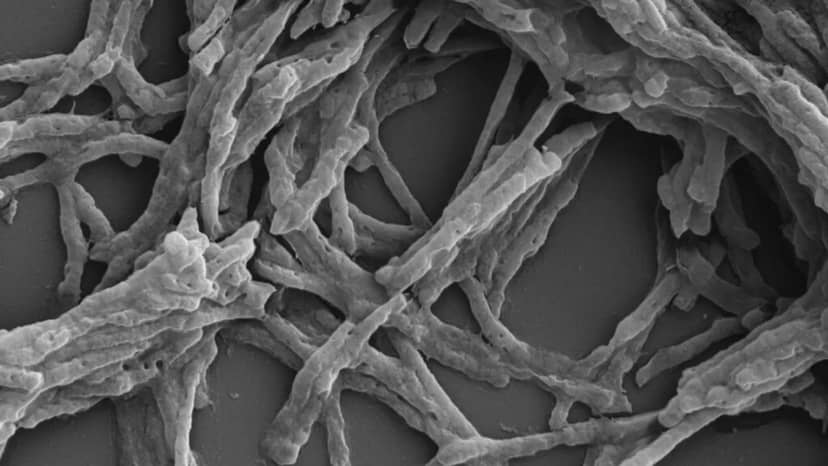 Jak czerpać prąd z powietrza? Naukowcy mają już na to pomysł