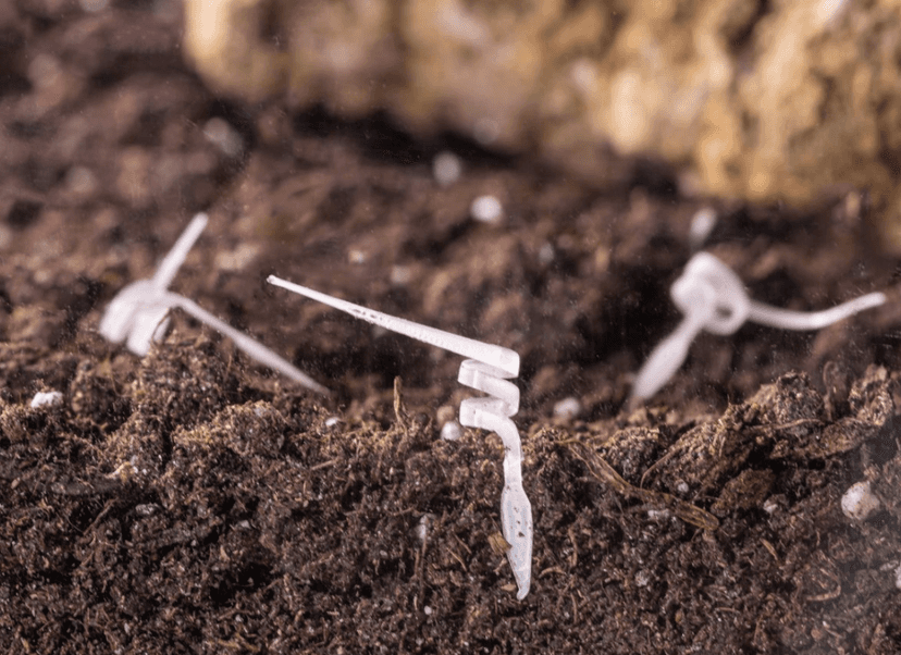 Ten robot zmieni kształt i użyźni glebę. Niesamowity projekt włoskich naukowców