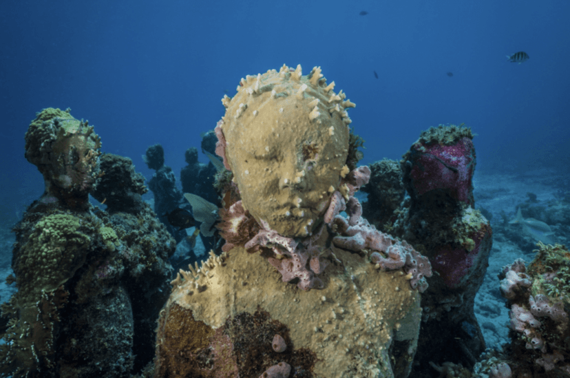 Sztuka ożywa na dnie oceanu. Takiej wystawy nie zobaczycie w swoim muzeum