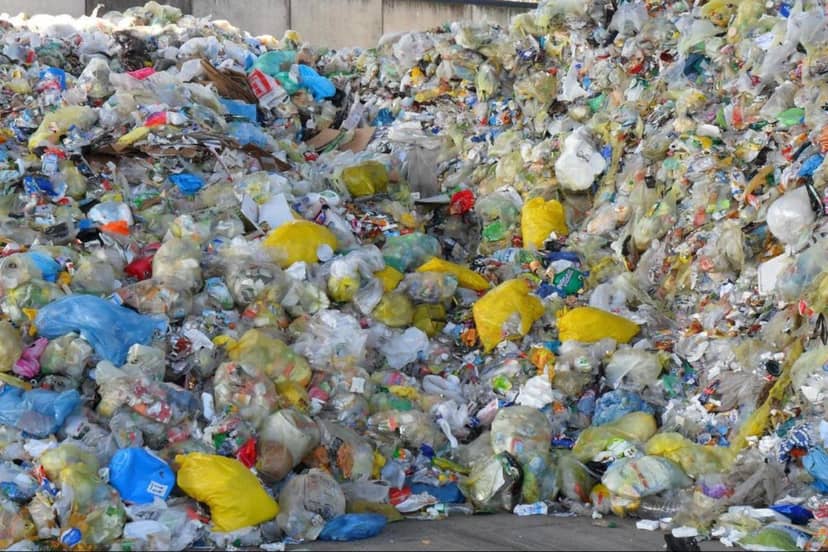 Pożerają plastik i mają w nosie zimę. Te mikroorganizmy mogą zmienić świat