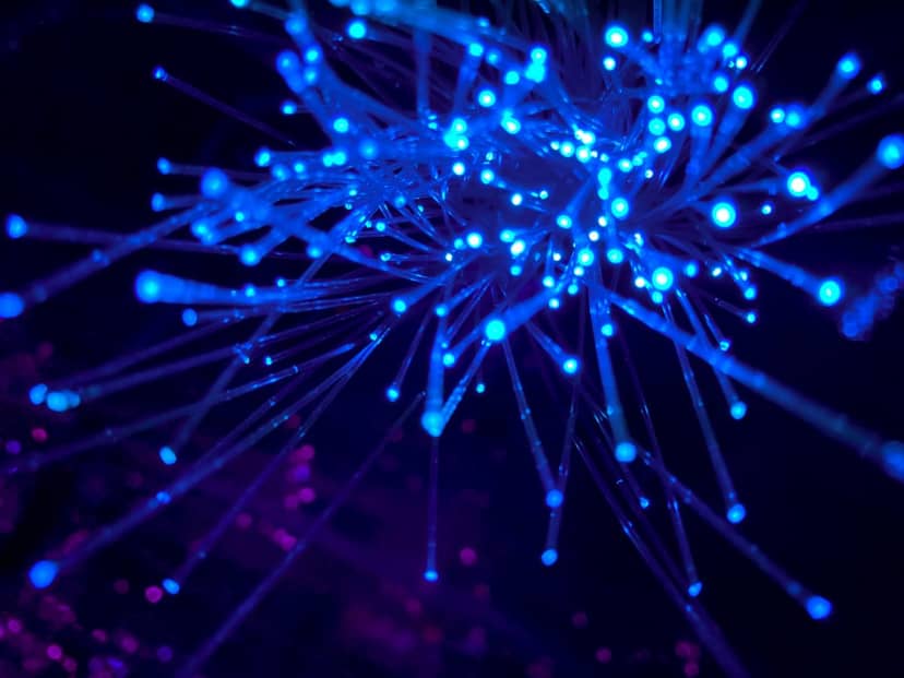 Mozilla bierze się za bezpieczeństwo portfeli kryptowalut  