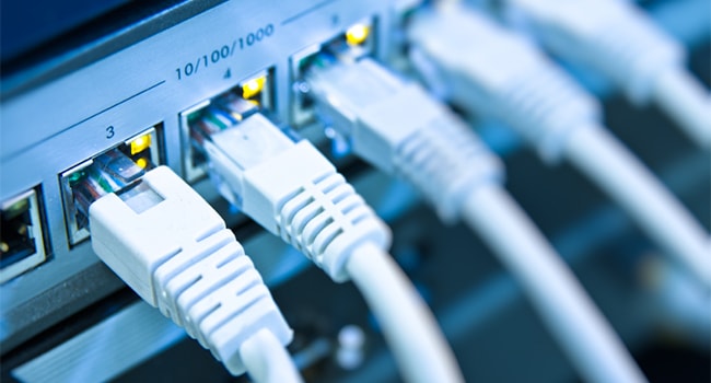 network cables RJ45 connected to a switch
