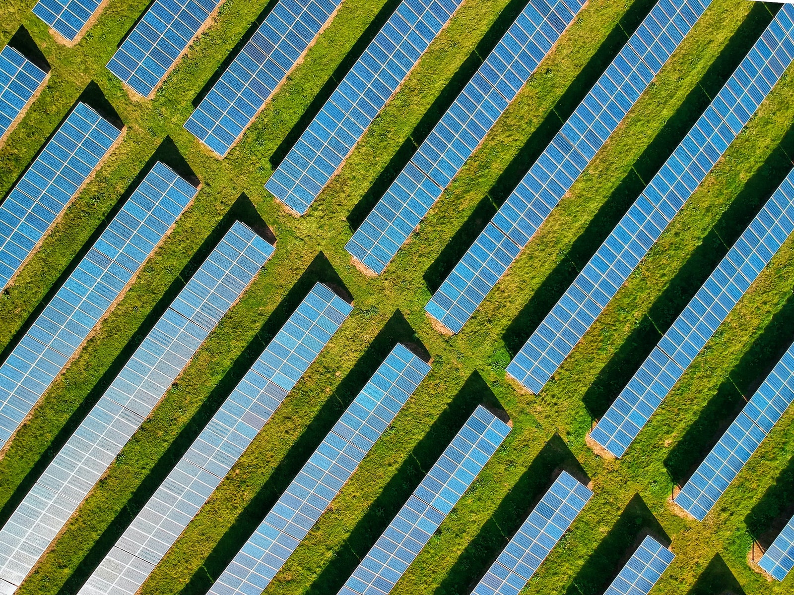 Większej farmy energii odnawialnej nie ma. Poznaliśmy szczegóły wyjątkowego kompleksu