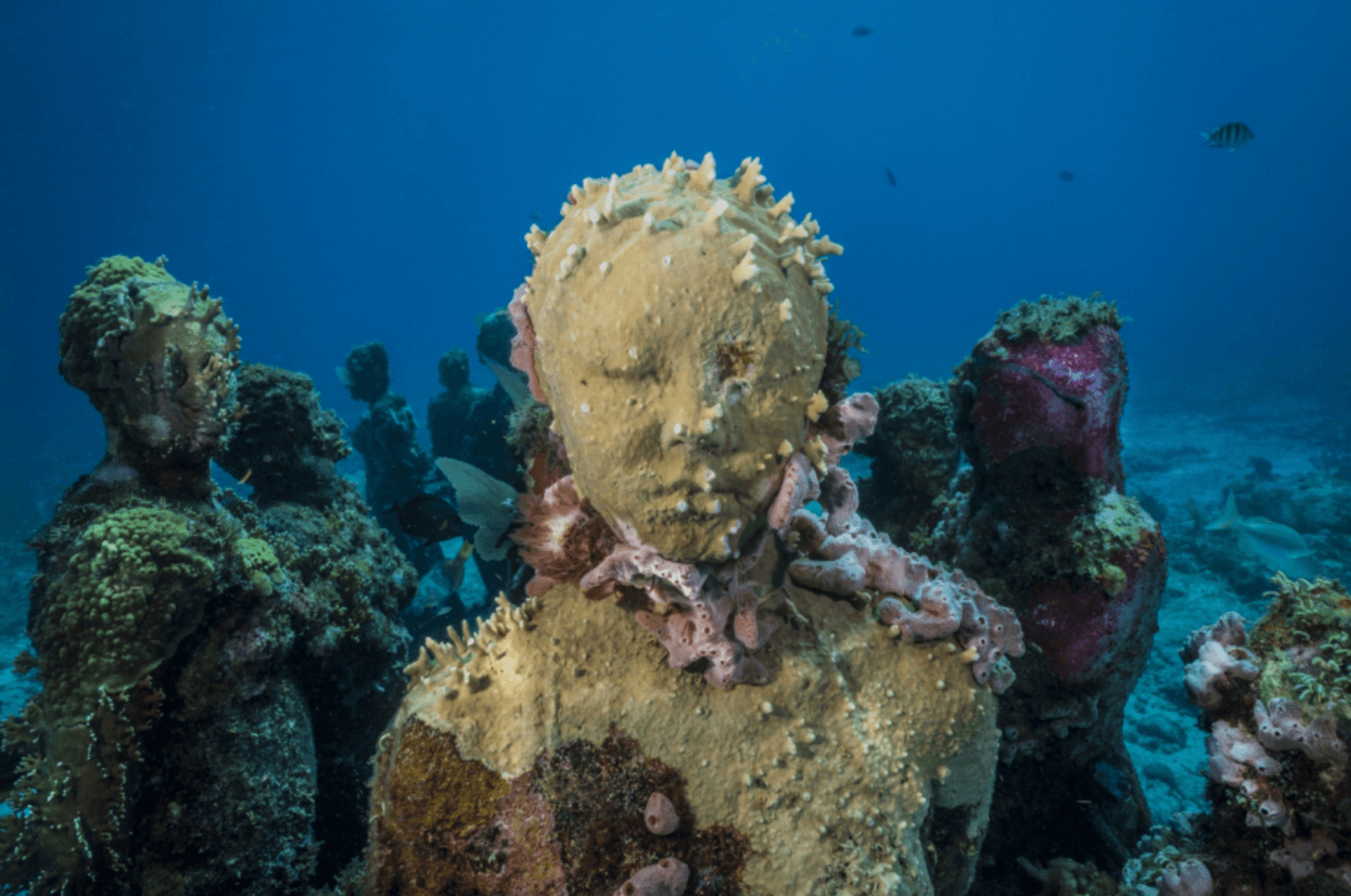 Silent Evolution, MUSA, Mexico /Fot. Jason deCaires Taylor
