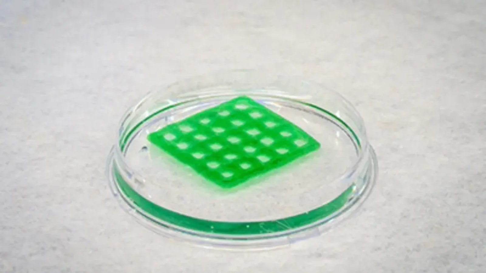 Woda już nigdy się nie skończy? Ten drukowany w 3D żyjący materiał jest fenomenalny