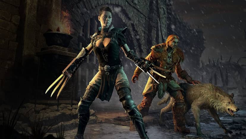 Diablo 2 Resurrected z 9. sezonem piekła na zimowe wieczory