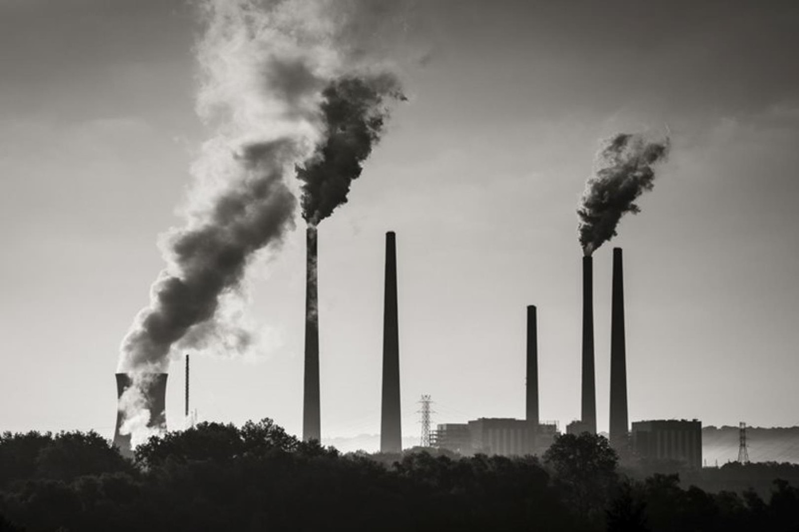 Przechwytywanie dwutlenku węgla z powietrza