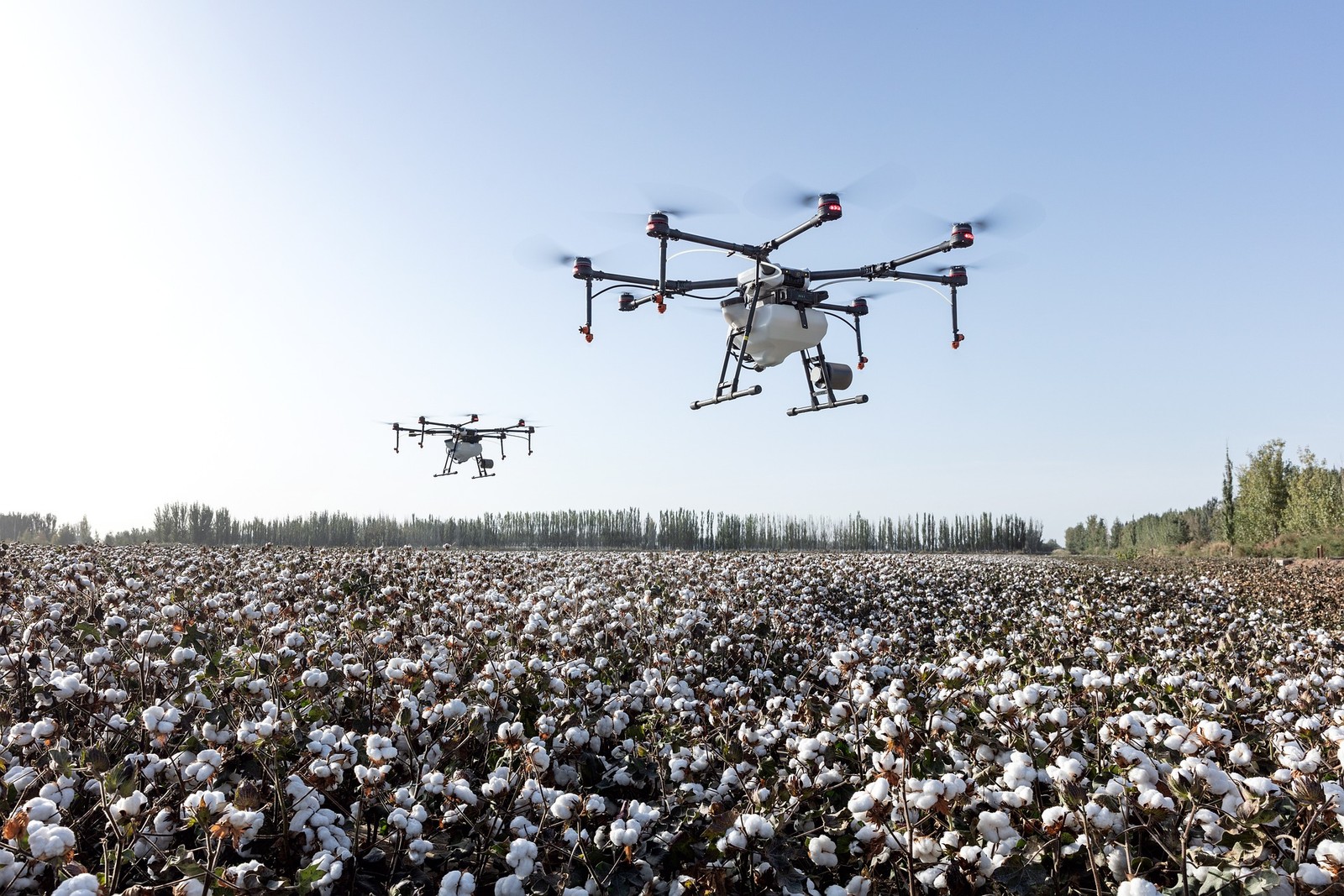 Grupy dronów przydają się m.in. w rolnictwie /Fot. Pixabay
