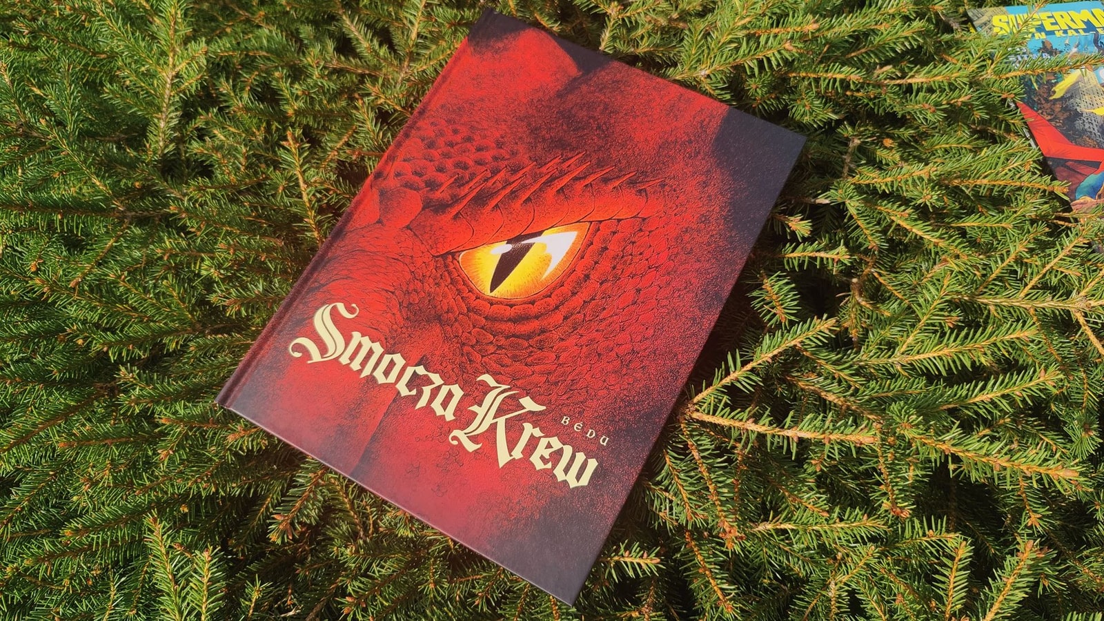 Bajka na dobranoc, czyli recenzja komiksu Smocza Krew